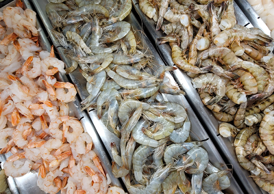 Seafood Variety